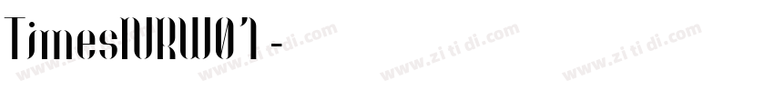 TimesNRW01 字体转换